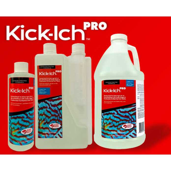 Kick Ich Pro I228